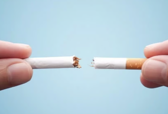 ފުވައްމުލައް ސީޓީގައި "ޓޯޗް ރަން" ބާއްވަނީ